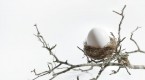 7-ways-to-secure-your-retirement-nest-egg_1
