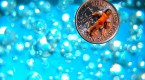 alternative-investments-what-you-need-to-know_2