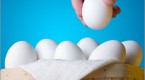 dont-put-all-your-eggs-in-one-basket_2