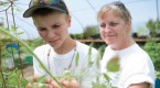 greenhouses-invest-today-for-a-brighter-tomorrow_1