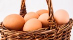 investing-ideas-don-t-put-all-your-eggs-in-one_2