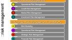 managing-financial-risks_1