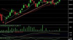 nse-bse-mcx-ncdex-news-reports-expert-views_1