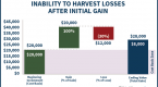 reduce-your-capital-gains-tax-through-tax-loss_1