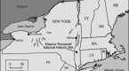 site-map-1_1