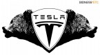 tesla-motors-inc-nasdaq-tsla-how-high-the-stock_1