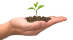 vcs-investing-to-heal_1