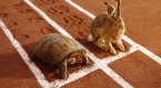 active-v-investing-investment-u_1