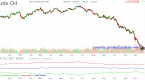 beware-of-the-bear-trap-wyatt-investment-research_1