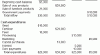 cash-flow_1