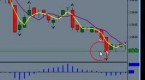 different-types-of-forex-indicators_1