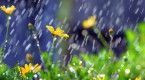 do-spring-showers-bring-stock-gains-dont-count-on_1