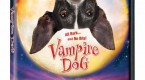 dogs-of-the-dow-all-bark-and-no-bite-in-2012_1