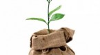 ethical-investing_2