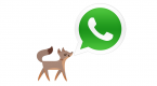 facebooks-whatsapp-crosses-the-700-million-active_1