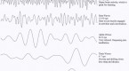 gamma-explained_2