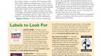 green-america-s-ending-sweatshops-program-what-you_2