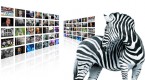investec-structured-products-integral-by-design_1