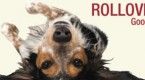 ira-rollover-mistakes_2
