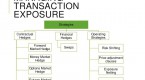 on-the-record-what-is-your-currency-risk-hedging_1
