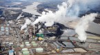 trust-capital-canada-s-commodity-currency-oil-and_1