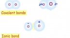 types-of-bonds_2