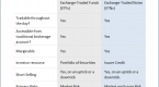 vanguard-important-information-about-leveraged-and_1
