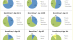 a-conservative-asset-allocation-for-incomefocused_1