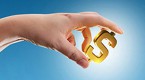 best-options-investing-money-university-survival_1
