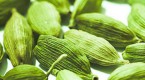 cardamom-mcx-cardamom-futures-cardamom-prices_2