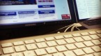 cashy-article-post-everything-you-need-to-know_1