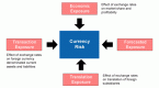 how-to-manage-currency-exposure-in-your-portfolio_1