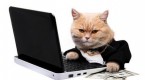 investments-orlando-is-the-cat-s-whiskers-of-stock_2