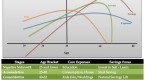 portfolio-theory-lifecycle-investing-and_1