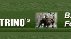 trend-investing-trading_1
