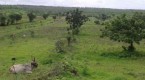why-land-the-greatest-investment-golden_2