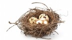 investing-ideas-don-t-put-all-your-eggs-in-one_1