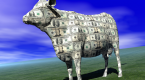 misguided-homeowners-treat-houses-like-cash-cows_2