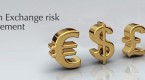 4-ways-to-minimize-foreign-currency-risk_1