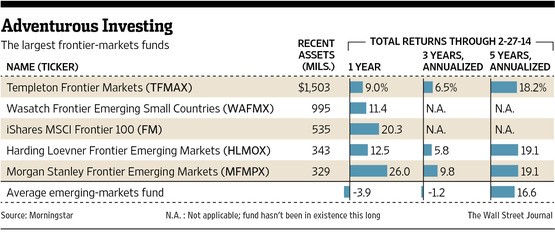 Investing in Emerging and Frontier Markets market research report