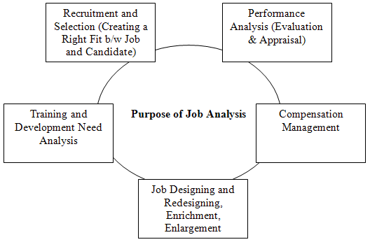 Analyzing Needs