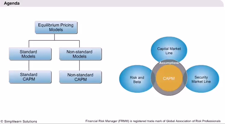 Capital Asset Pricing Model