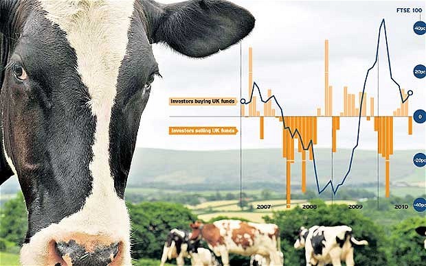 Avoid the herd mentality on growth v stocks