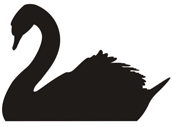 Black swan theory Wikipedia the free encyclopedia