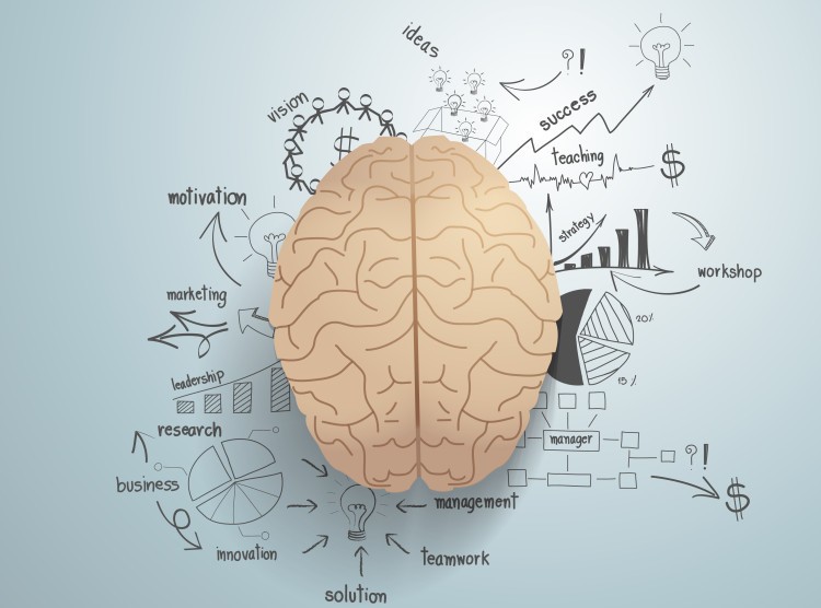 Having A Plan The Basis Of Success Having A Plan The Basis Of Success