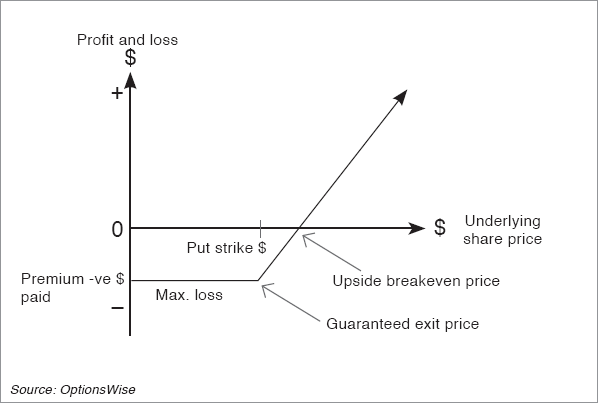 Buying Put Options