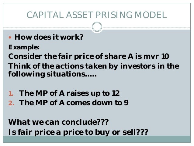 Capital Asset Pricing Model_4