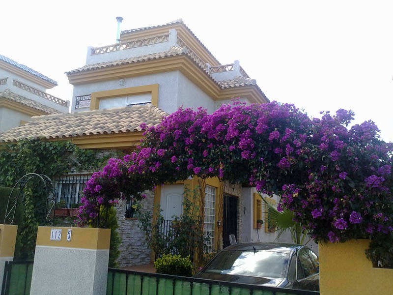 Cheap Real estate in Spain Atlanta Real Estate prices for cheap and luxury property on the Cheap Real estate in Spain Atlanta Real Estate prices for cheap and luxury property on the