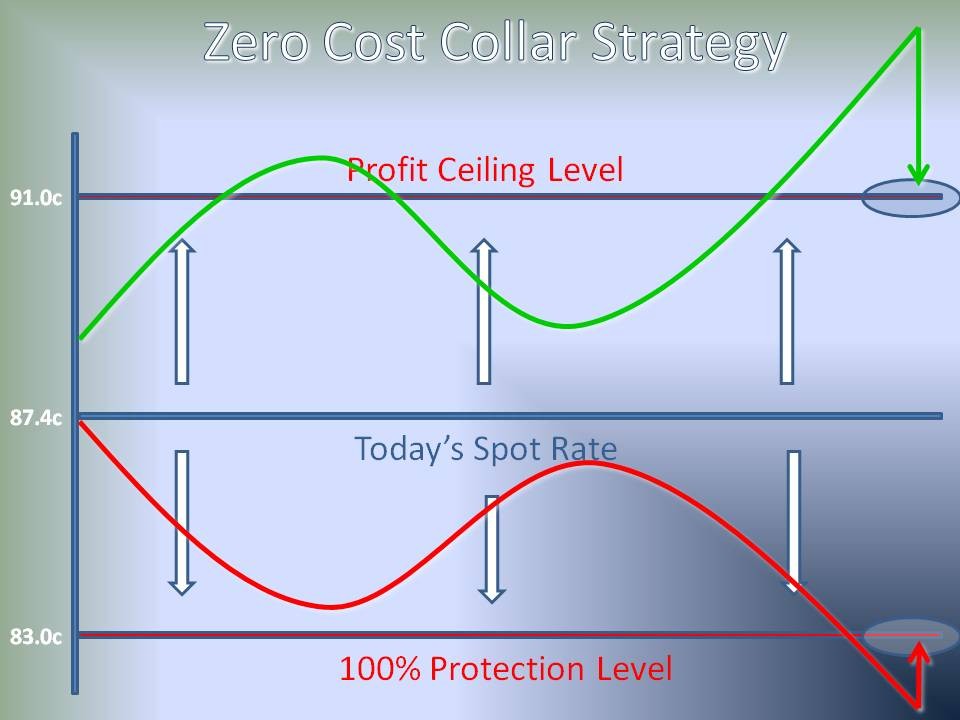 ZEROCOST COLLARS