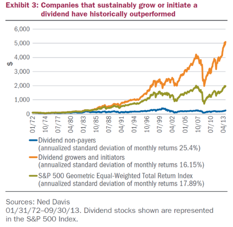 Do Dividends Matter